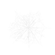 spiderweb